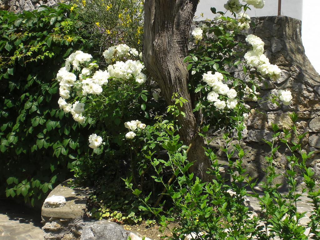 Casa Augusto B&B Capri Exterior foto